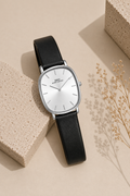 IBSO Boerni Aibisino — Classic Silver Black
